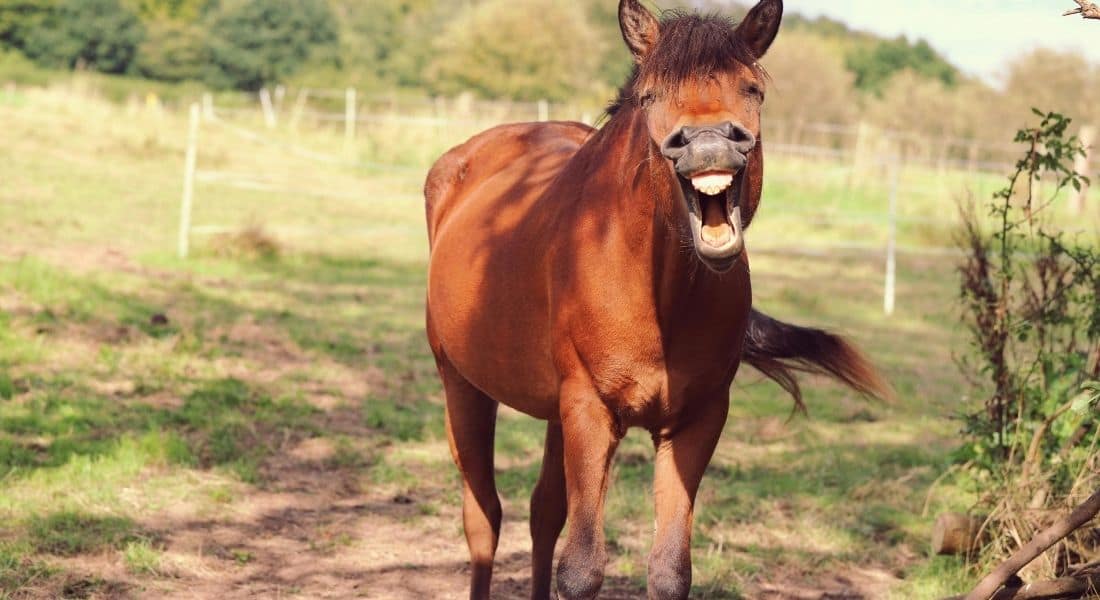 Uwe Winter Interim Manager